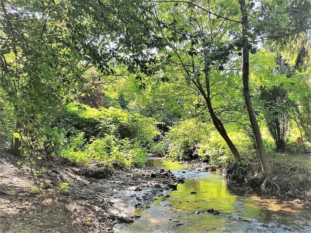 Parád Muskatli Vendeghaz旅舍 外观 照片